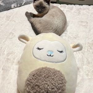 Lamb Squishmallow!